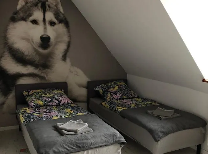 דירה Lux-centrum גליביצ'ה